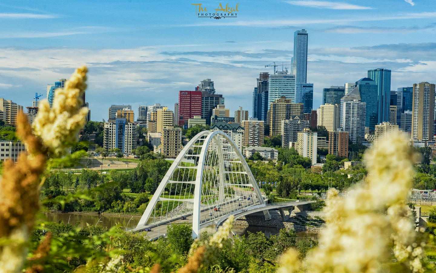 Computer Repair Services in Edmonton